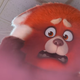 A giant red panda looks on in horror.